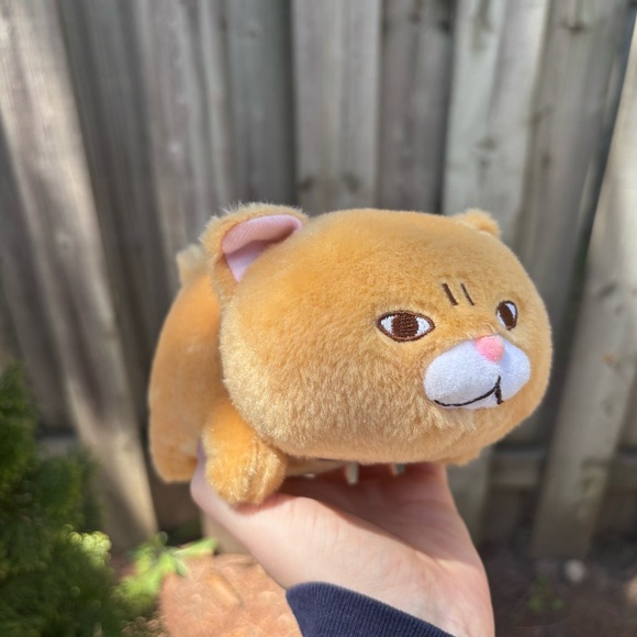 Cute Small Amuse Cat Plush - Picture 2 of 8